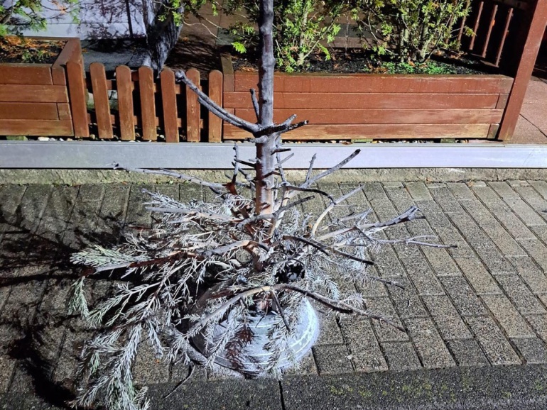 Foto Feuerwehr Büren