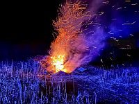 11. Februar. Lichtenau.