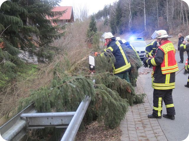 Baum beseitigung von der Straße